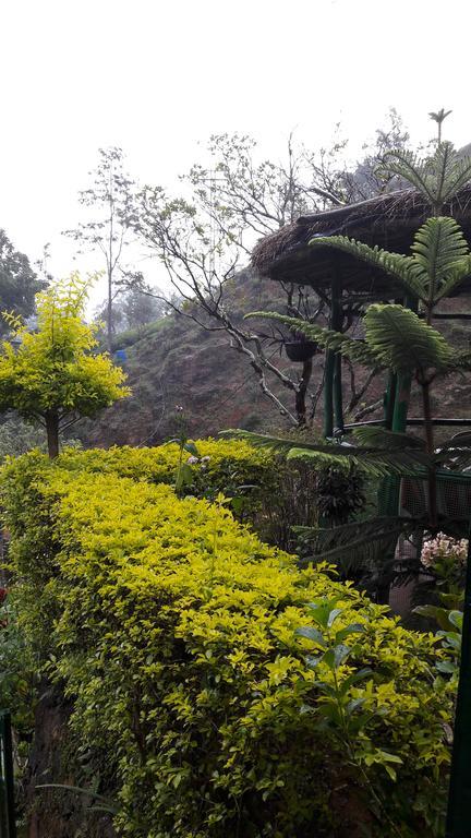 Green House Nallathanniya Ngoại thất bức ảnh